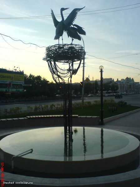 аист.jpg