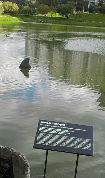 IMAG0278.jpg