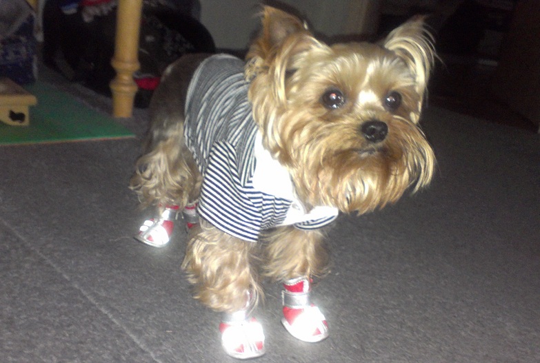 IMAG0297.jpg